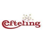 Efteling ticket 1 persoon