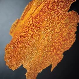 Krokantjes van schaaldieren