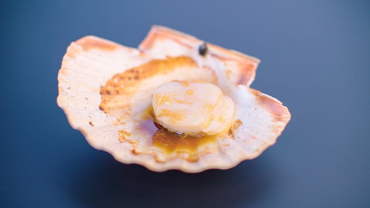 Verse coquilles uit de schelp van de Big Green Egg - Martin Rotteveel – Recept