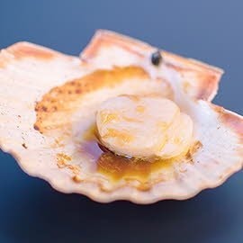 Verse coquilles uit de schelp van de Big Green Egg - Martin Rotteveel