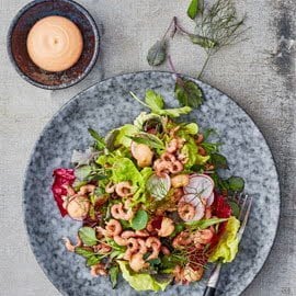 Salade Hollandse garnalen met kruiden en cocktailsaus Salade Hollandse garnalen met kruiden en cocktailsaus
