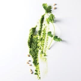 Pesto van koriander Pesto van koriander