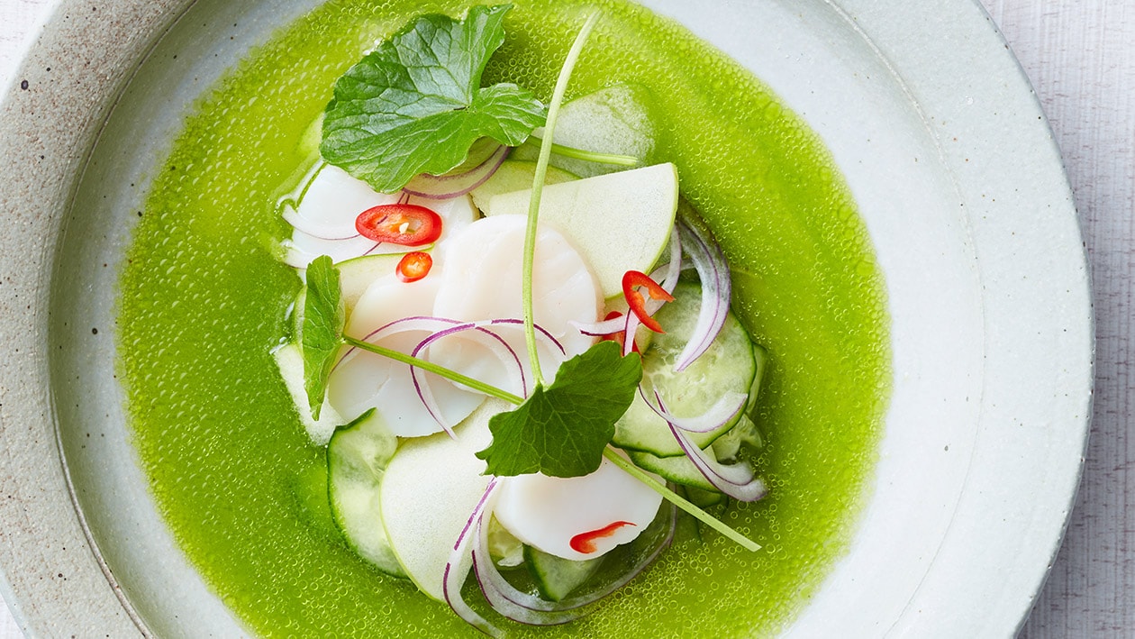 Ceviche van coquilles met groene appel, koriander en citrus – Recept