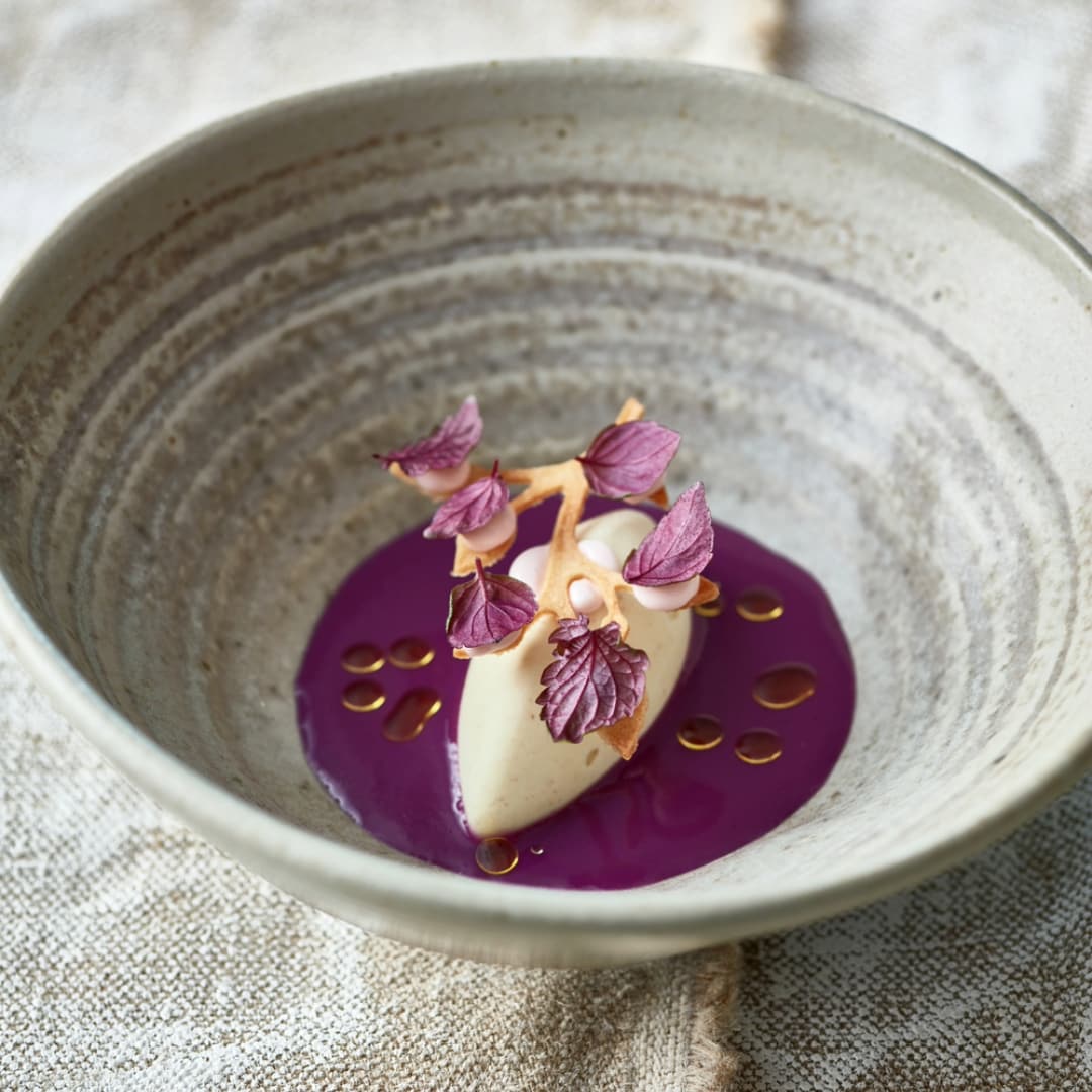 Rode kool gazpacho met mosterdijs en shiso