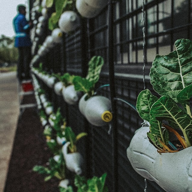 Verbeter je buffet: circulariteit en storytelling