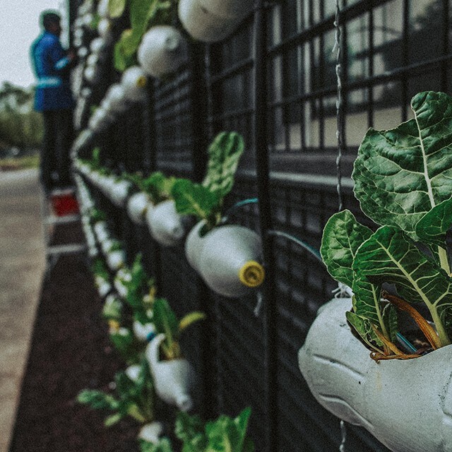 Verbeter je buffet: circulariteit en storytelling