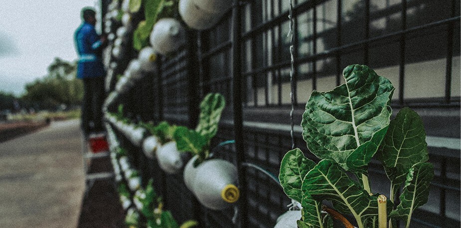 Verbeter je buffet: circulariteit en storytelling