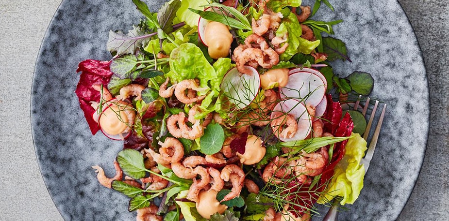 Een salade op een bord. De salade bevat: sla, bieten, garnalen, rucola en wat dressing