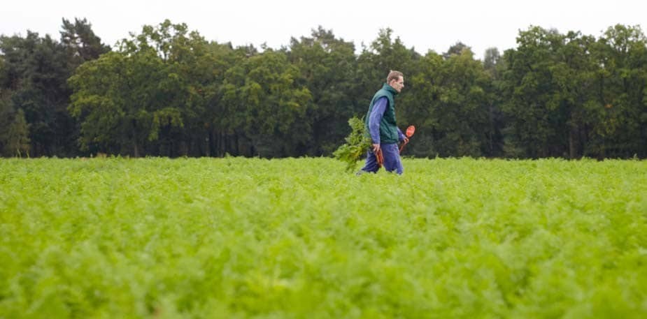 Duurzame landbouw begint bij de grond