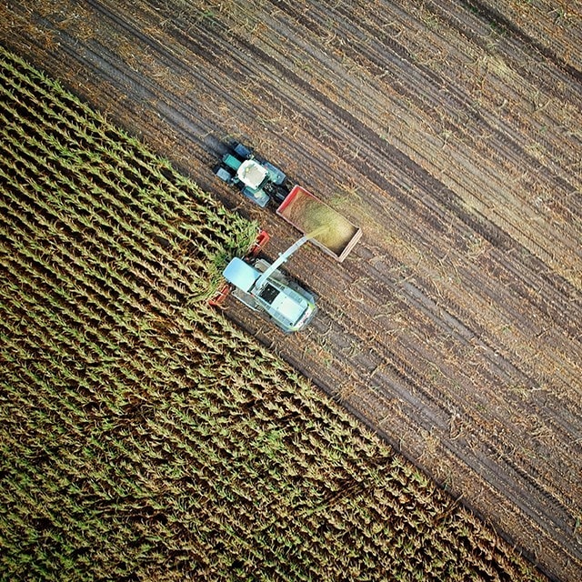 Knorr & Duurzaamheid