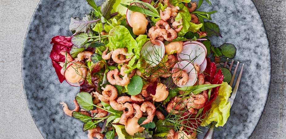 Eigentijds, verrassend en vegan: de nieuwe vinaigrettes van Hellmann’s