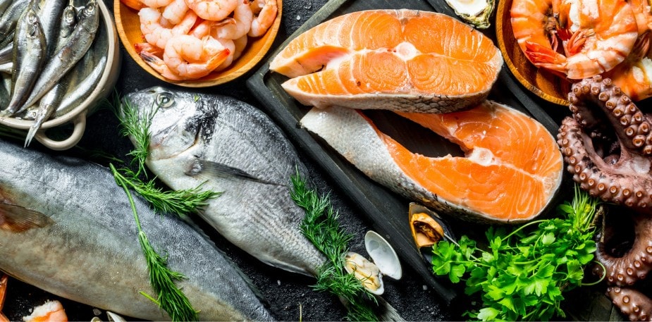 Alles over Hollandse Nieuwe Haring 2025