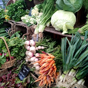 Volgeladen met groenten 