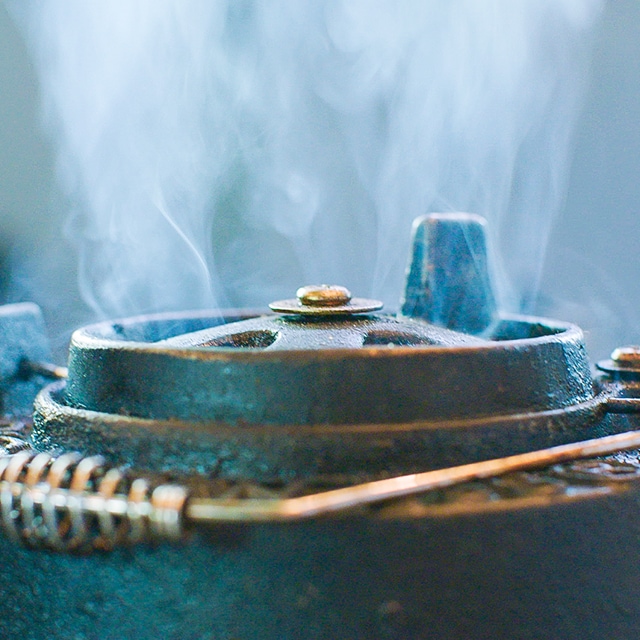 Verrassend: vier keer vis op de Big Green Egg 