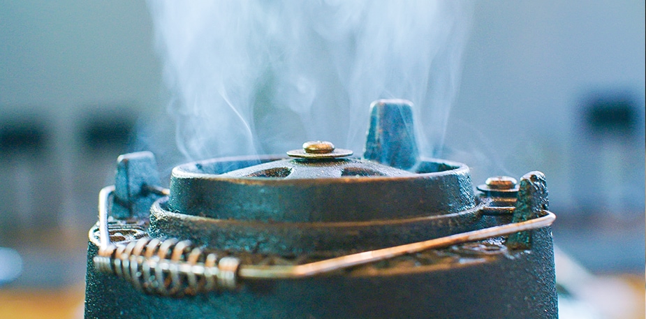 Verrassend: vier keer vis op de Big Green Egg 