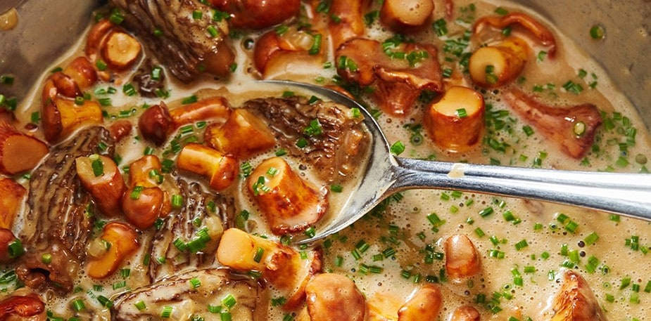 De perfecte saus voor bij je herfstrecepten