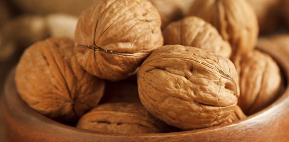 Het nut van noten