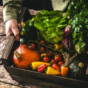 1. Sluit aan bij het seizoen