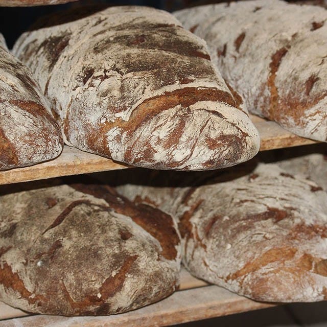 Coeliakie & Gluten