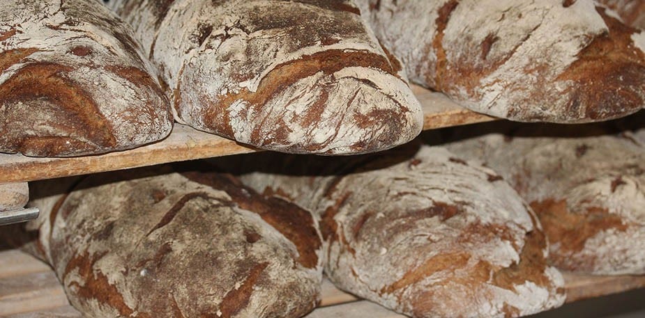 Coeliakie & Gluten