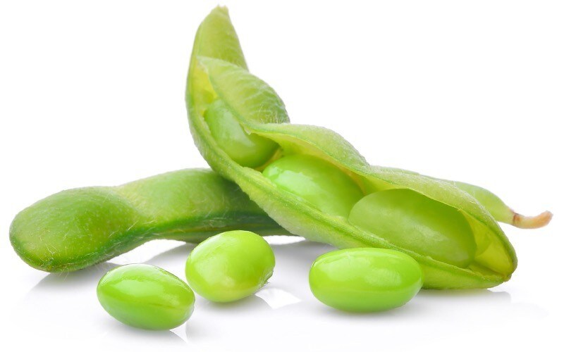 Vegetarisch & Veganistisch