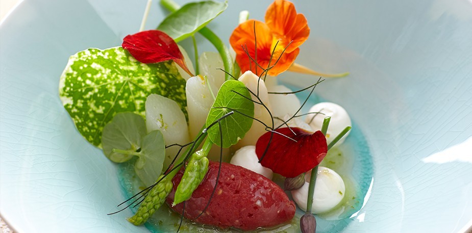 Vegetarisch & Veganistisch