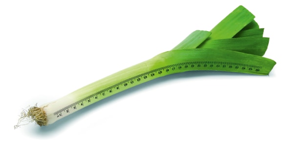 Een prei met een meetlat van 30 centimeter erop getekend