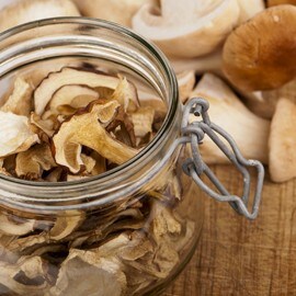 Porcini Porcini