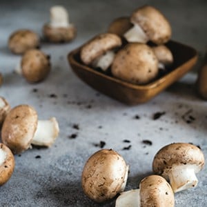 Match 1: champignons & vanille