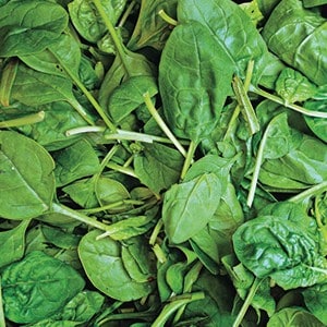 Match 6: spinazie en kikkererwten