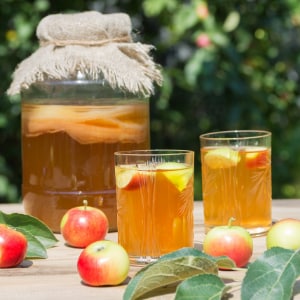 Zelf aan de slag: Kombucha 