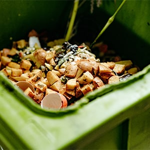 De verspillings ninja