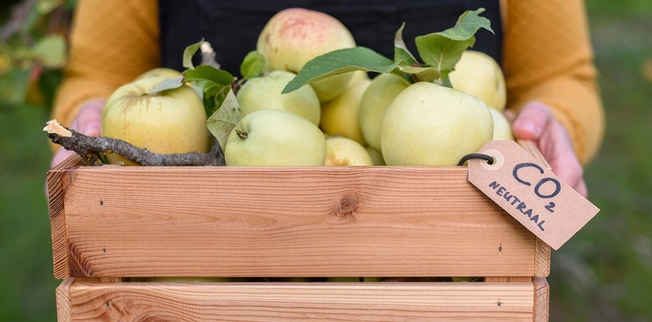 Slimme oplossingen om duurzaam te werken