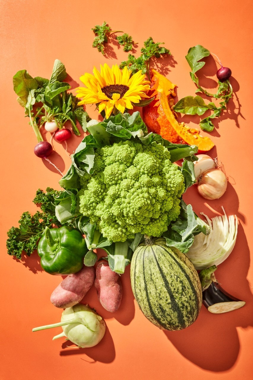 Download: Irresistible Vegetables 